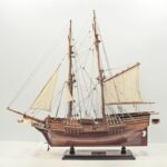 Lady Of Washington
